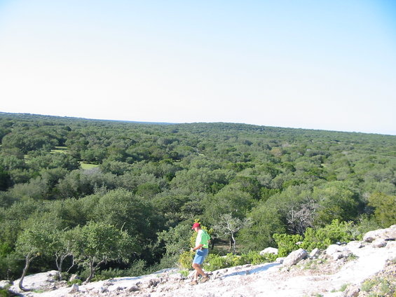 Person in green shirt and blue shorts walks on a rocky path overlooking a vast, green forest under a clear blue sky