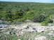 1996 Ford Bronco - A wide view of a natural landscape rocky terrain and abundant green trees stretching to the horizon under a bright blue sky.