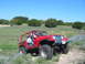 1996 Ford Bronco - A red Jeep Wrangler navigates a grassy, flower-filled trail under a clear blue sky.