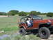 1996 Ford Bronco - A woman sits in a tan Jeep Wrangler with an orange flag on the back, parked in a grassy, outdoor area.