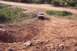 1995 Ford Bronco - 1995 Ford Bronco navigating an off-road trail.