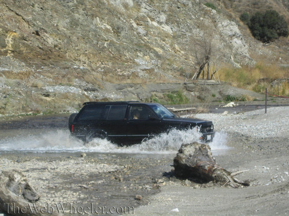 img_1335.jpg 