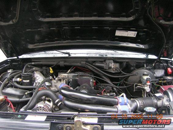 Engine bay with exposed engine components and hoses