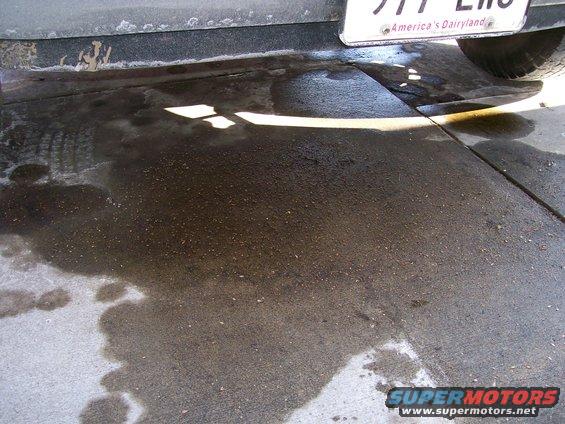 Puddle of dark fluid on concrete, with a tire and part of a license plate visible