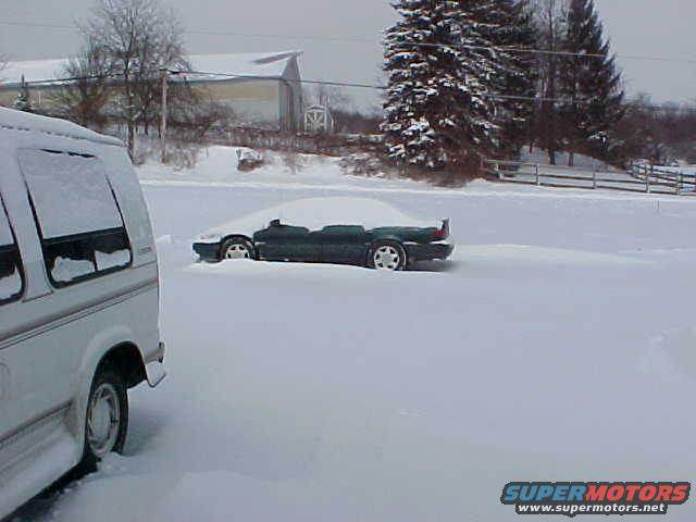 Better pic of the 'buried' car