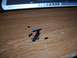 2003 Ford Ranger - Scattered fragments of black plastic lie on a wooden surface, with a laptop visible in the background.