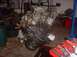 1980 Ford Bronco - new freshly rebuilt 351w out of a 72 ford galaxie with heads off of a 70 fairlane edelbrock performer cam and edelbrock…