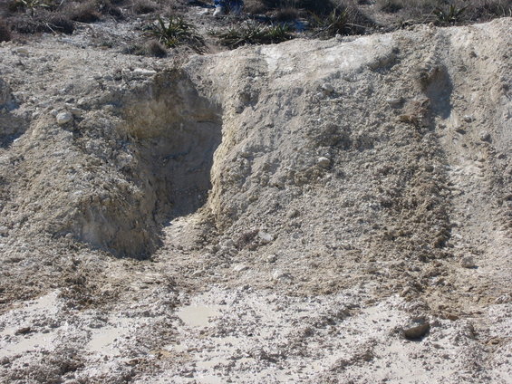 rranch021707_038.jpg 