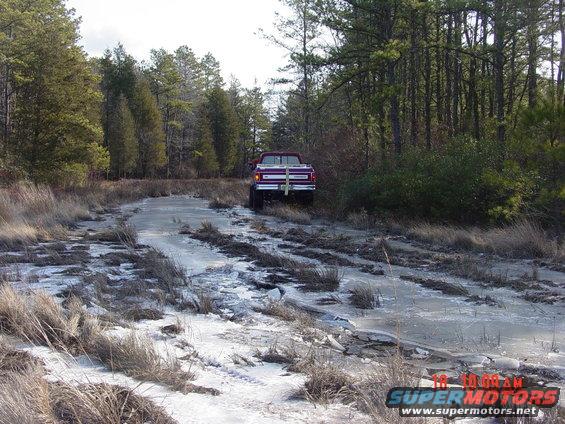 Red pickup truck with a white tailgate insert, seen from the rear on a muddy, icy track through trees