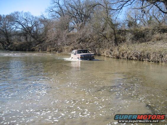 img_0081.jpg and people think it's a mall crawler