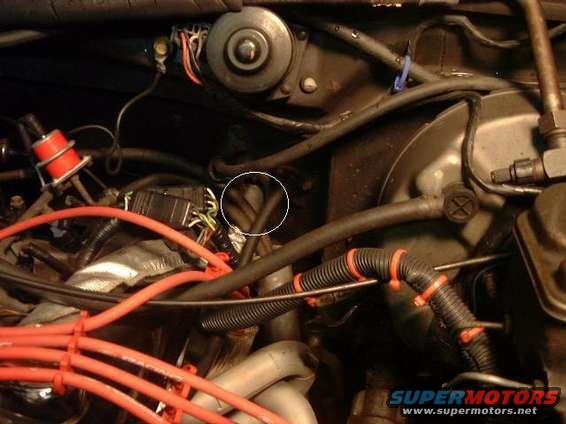 eec60pin_hole.jpg My EFI harness goes in to the firewall between the throttle cable and the fuel pressure regulator.  The EEC then mounts under the dash.  The was all stock on the 1986 EFI trucks.  I don't know why progress was to mount it outside closer to water damage in 87 and up?