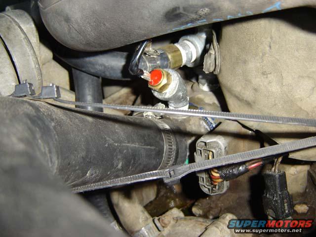 0219074-001.jpg Temp switch for electric fans