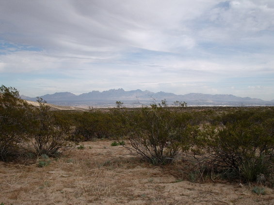 Desert landscape with scrub brush in the foreground and mountains on the horizon under a cloudy sky