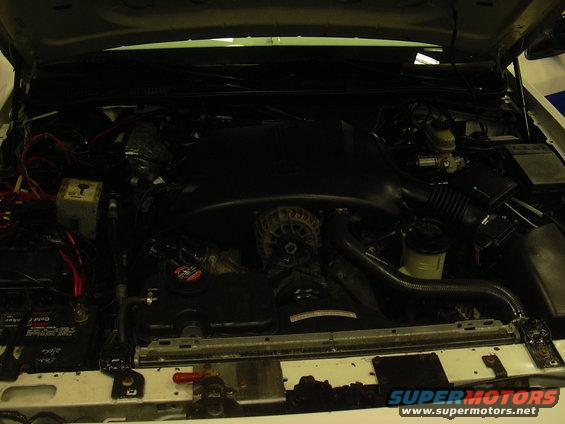 1996 Ford Crown Victoria engine bay with hood open, showing the engine, alternator, battery, and various hoses and wires