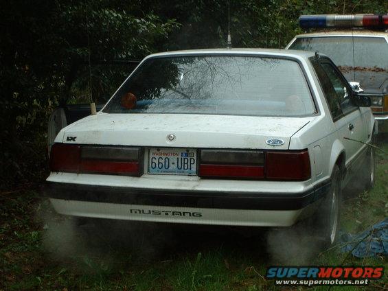Rear view of a white 1987 Ford Mustang with a Washington license plate