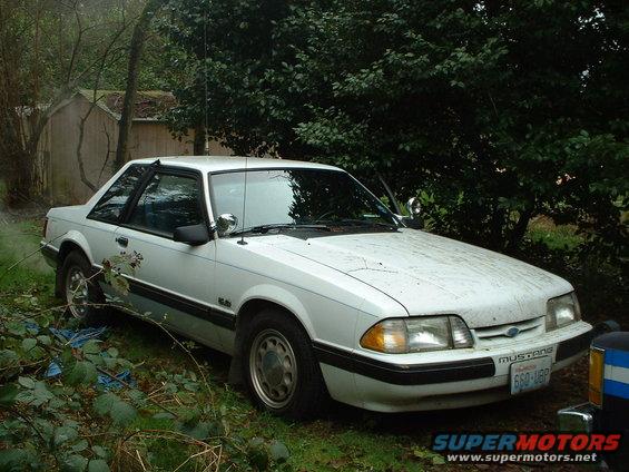 White 1987 Ford Mustang coupe parked outdoors, front 3/4 view, showing a cracked hood and a license plate