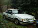 1987 Ford Mustang - A white 1987 Ford Mustang coupe is seen parked in an overgrown area with a shed in the background.