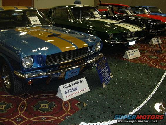 Blue and yellow 1966 Shelby GT350H in front of other classic Mustangs at a car show