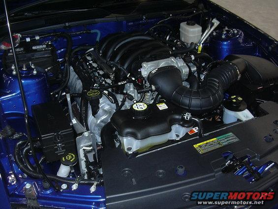 Blue engine bay with black intake manifold and hoses