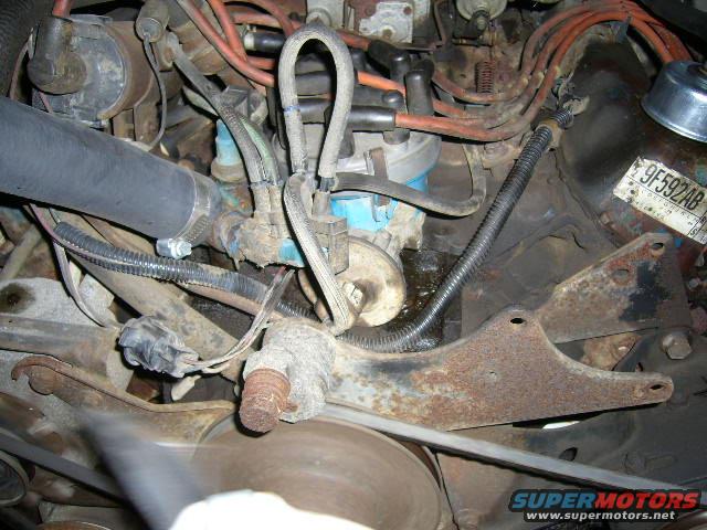 engine bay with hoses, wires, and a metal tag reading 9F592AB