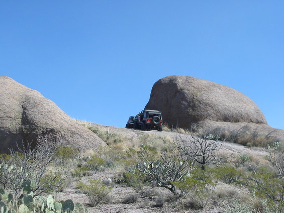 img_4393.jpg 
