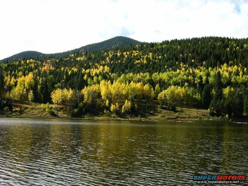 backyard.jpg View of My Backyard



(I wish)