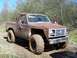 1981 Ford Bronco