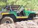 1981 Ford Bronco