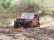 1981 Ford Bronco