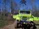 1981 Ford Bronco