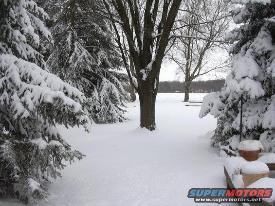 Snow-covered trees and ground in a winter landscape. Watermark reads SUPERMOTORS.NET