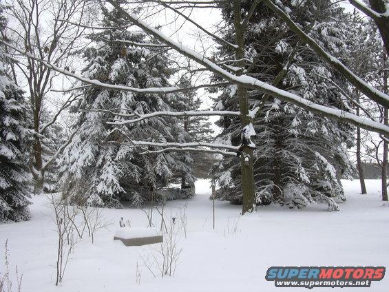 Snowy landscape with snow-covered trees and a bench
