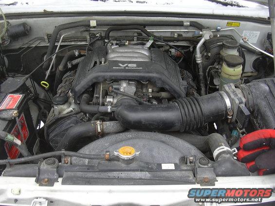 Engine bay with V6 DOHC 24 valve engine cover
