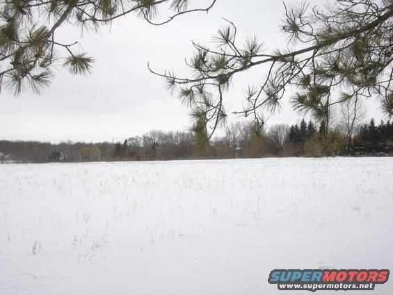 Snow covered field with bare trees in the distance and pine branches in the foreground. Watermark reads SUPERMOTORS