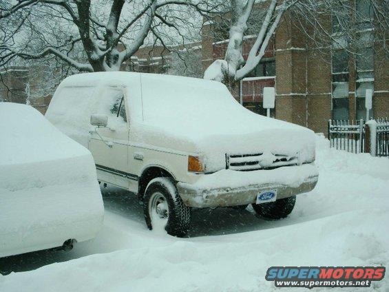 second-widener-snow.jpg