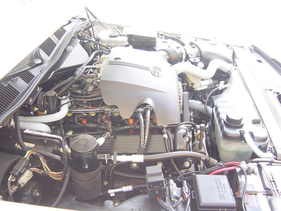 2000 Ford Crown Victoria engine bay with V8 engine components visible