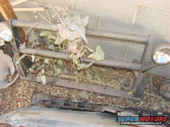 Front bumper with brush guard and overgrown vegetation