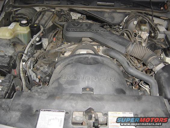 Nothin' special here, just Ford's corporate 4.6 SOHC V8 that's been used in everything from Mustangs to F-Series trucks.