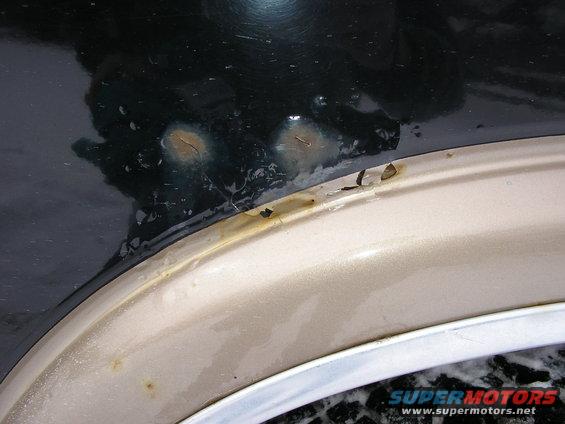 Close-up of rust spots on a dark green car's wheel well