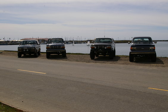 Four dark-colored Ford trucks parked in a line facing the water, with sailboats in the background