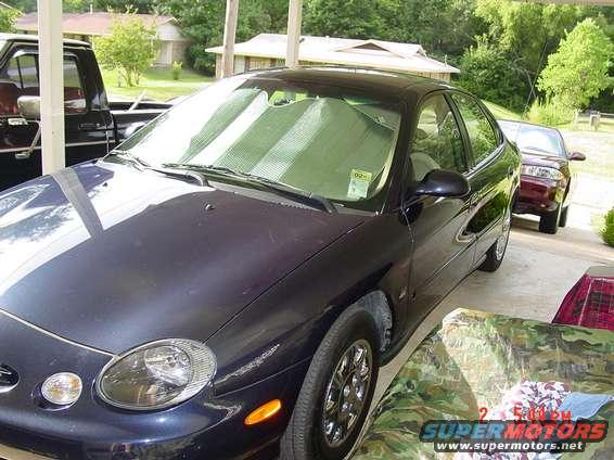 dsc00595.jpg A pic of her left side....