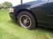 1998 Ford Crown Victoria - Close-up view of the front corner of a dark green sedan, showing the tire and fender.