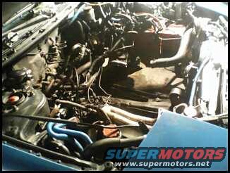 Engine bay with blue hoses and SuperMotors watermark