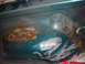 1996 Ford Bronco - The interior floor of a 1996 Ford Bronco shows significant rust damage and evidence of repair work.