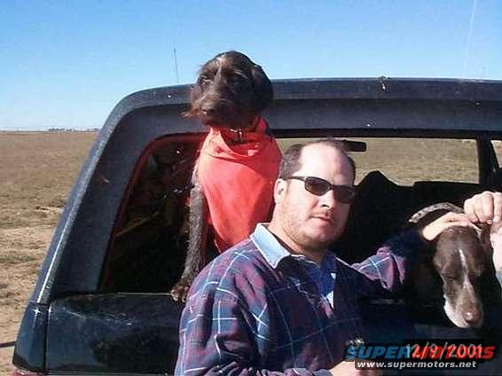 Here's the real occupants of the Bronco.  I'm just the chaufeur, they tell me where to go.  GWP "Cora" & GSP "Red".
