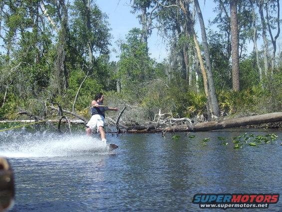 Wakeboarder spraying water, trees and logs in background