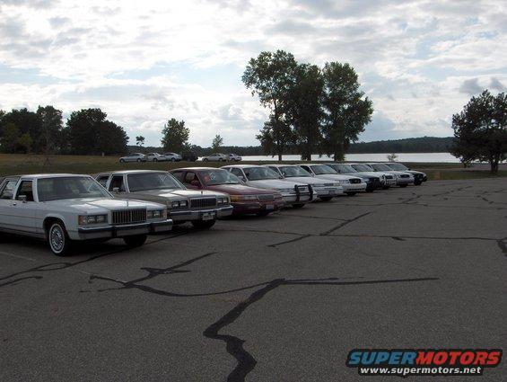 Several sedans parked in a row, facing forward. Some are white, others are darker colors