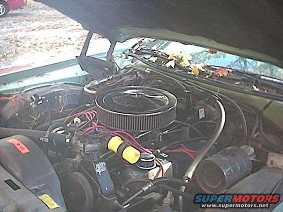 image14.jpg mmmm 460