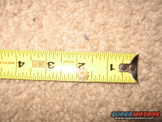 pinion-2.jpg 
