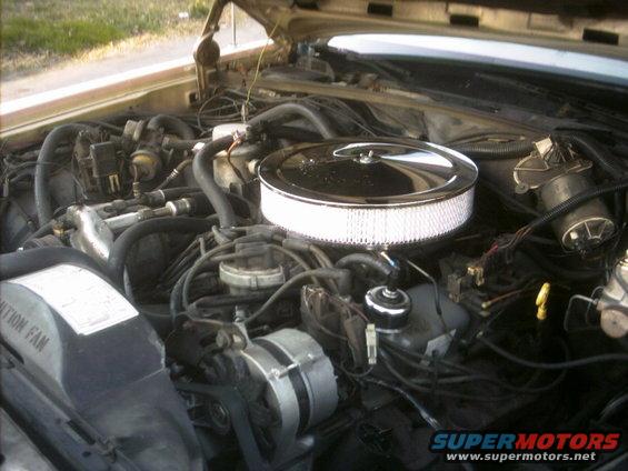Engine bay with chrome air cleaner and visible alternator